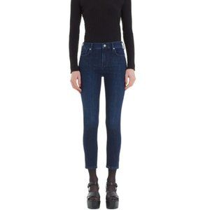 AGOLDE sophie high rise skinny crop in honor size 28